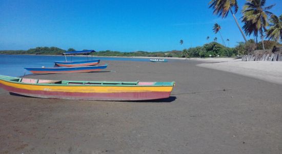 Plaža Rio Mamanguape