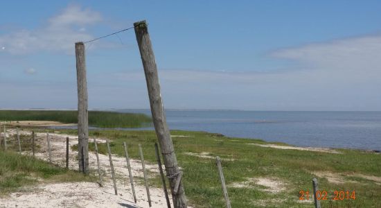 Sao Simao Beach