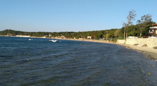 Pamira park beach