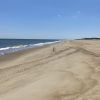 Sandbridge beach