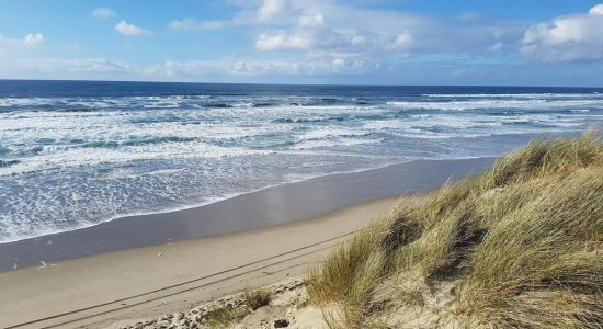 South Jetty Beach