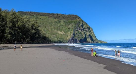 Waipi'o Black Sand Beach